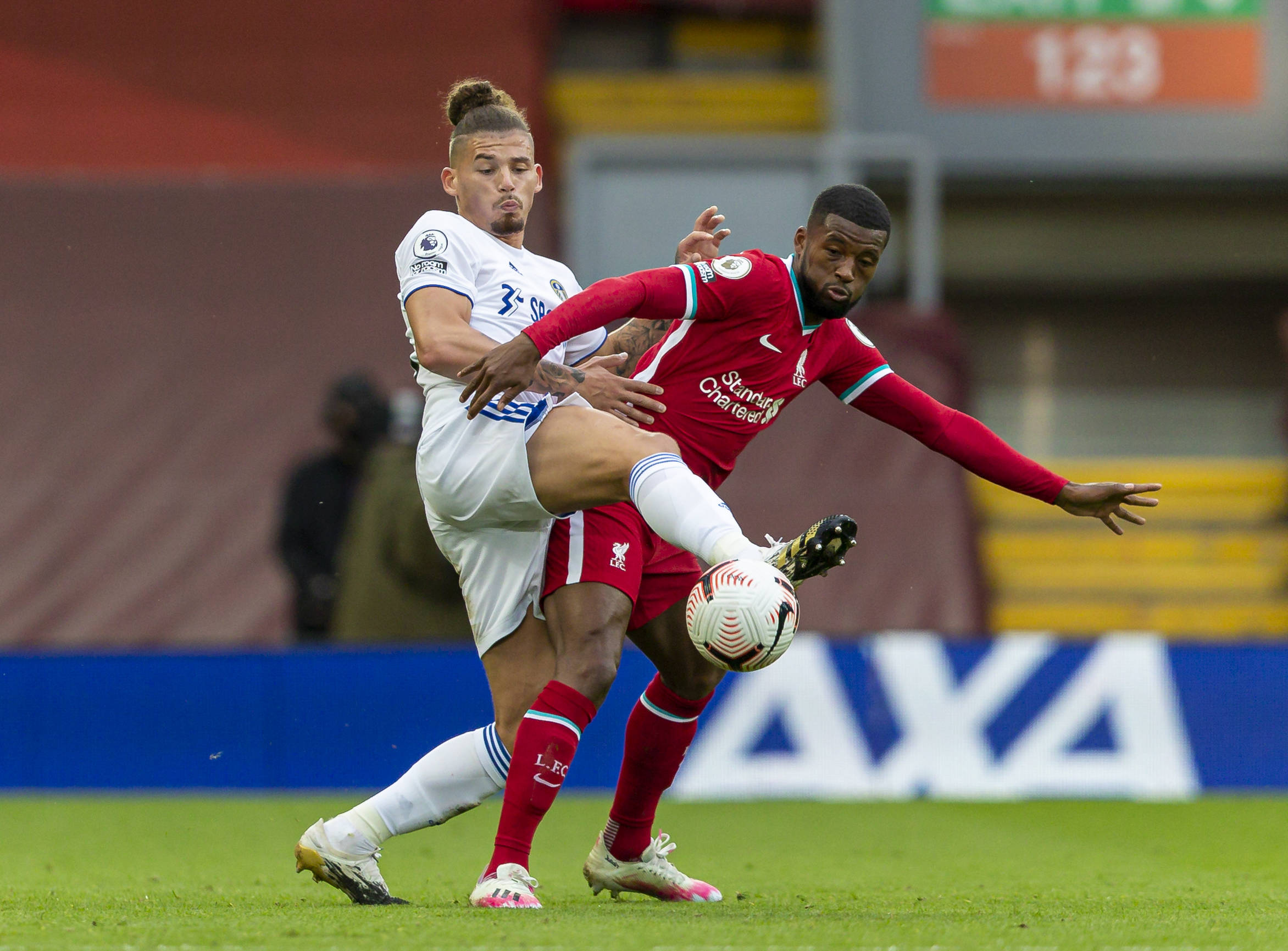 了大批粉丝 了大批粉丝