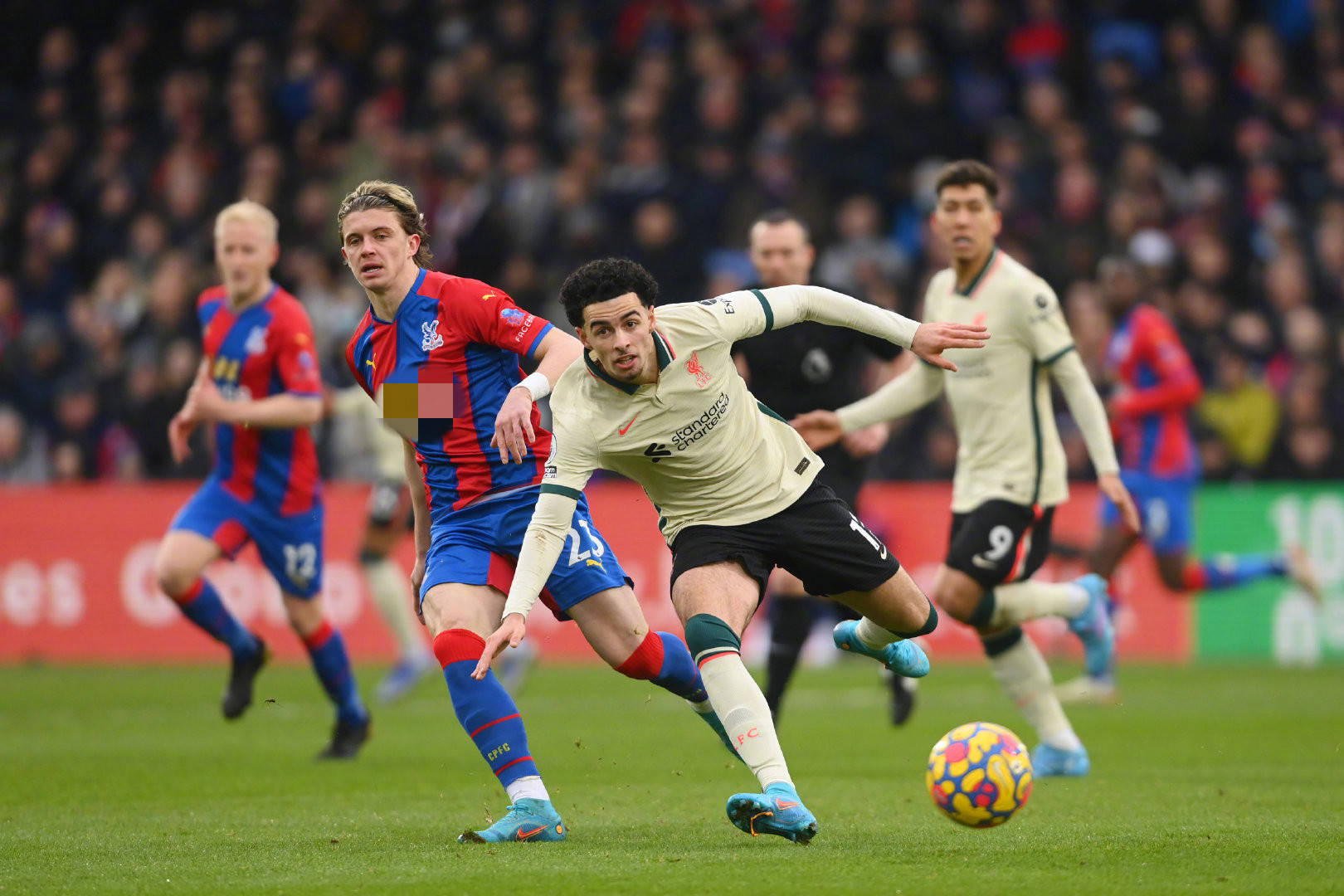 升了亚洲足 升了亚洲足